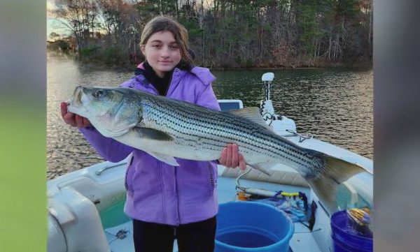 Big Ol’Fish: Friday, January 3