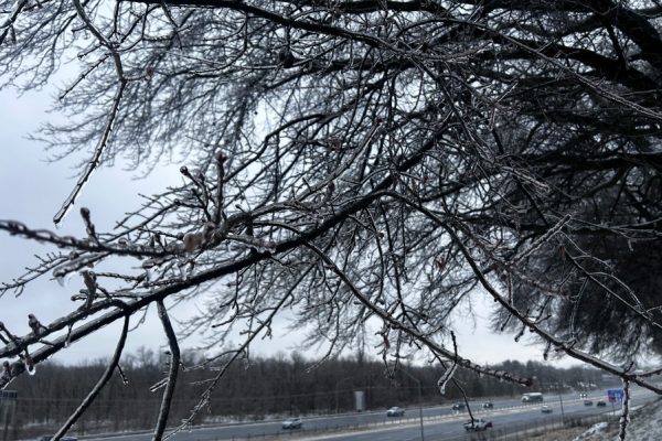 Tips on avoiding hypothermia and frostbite during this bitter winter season