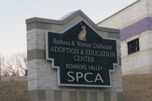 RVSPCA repairs delayed, targeting March 10 reopening