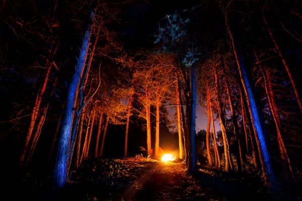 Virginia’s spring burn ban goes into effect Saturday – WTOP News